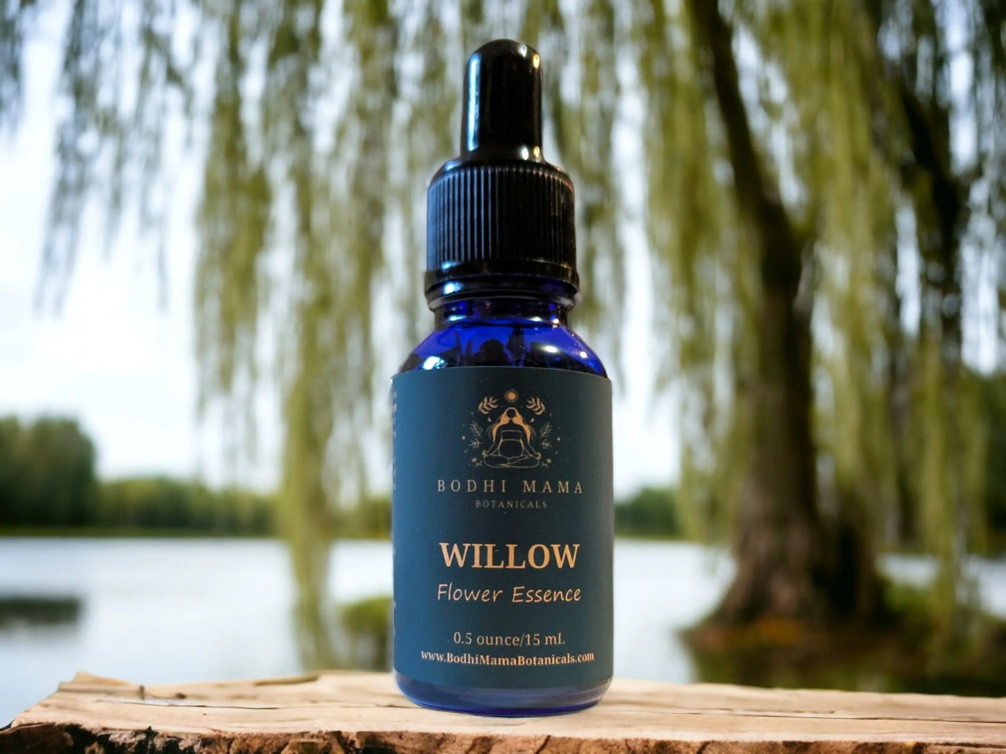 Willow Flower Essence || Forgiveness Bodhi Mama Botanicals