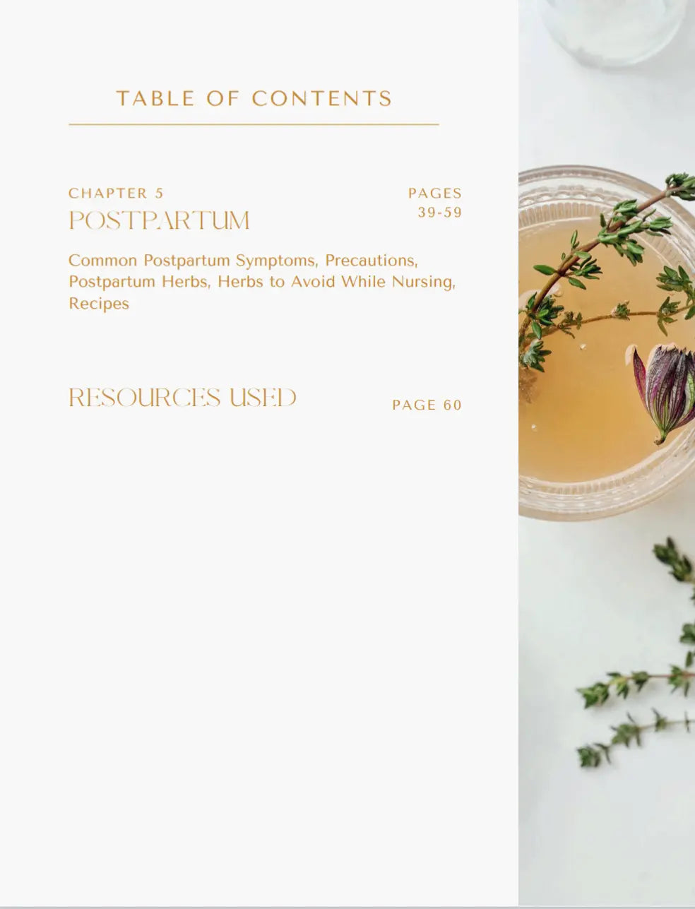 Herbalism Handbook for Doulas Bodhi Mama Botanicals