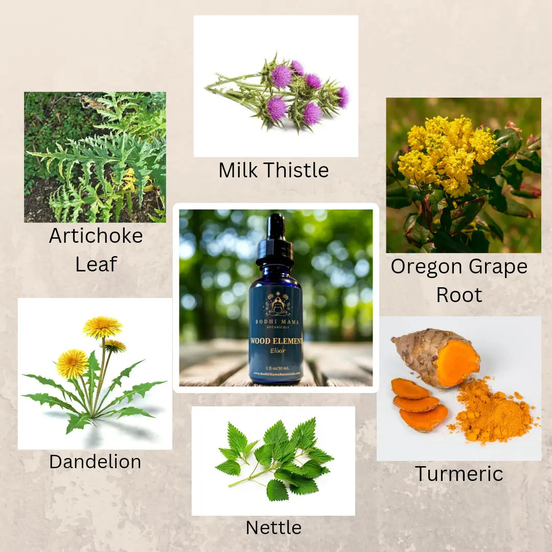 Wood Element Elixir Bodhi Mama Botanicals