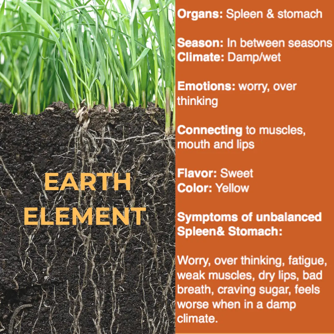 Earth Element TCM Elixir | Organic Tincture || Rooted Wellness Blend Bodhi Mama Botanicals