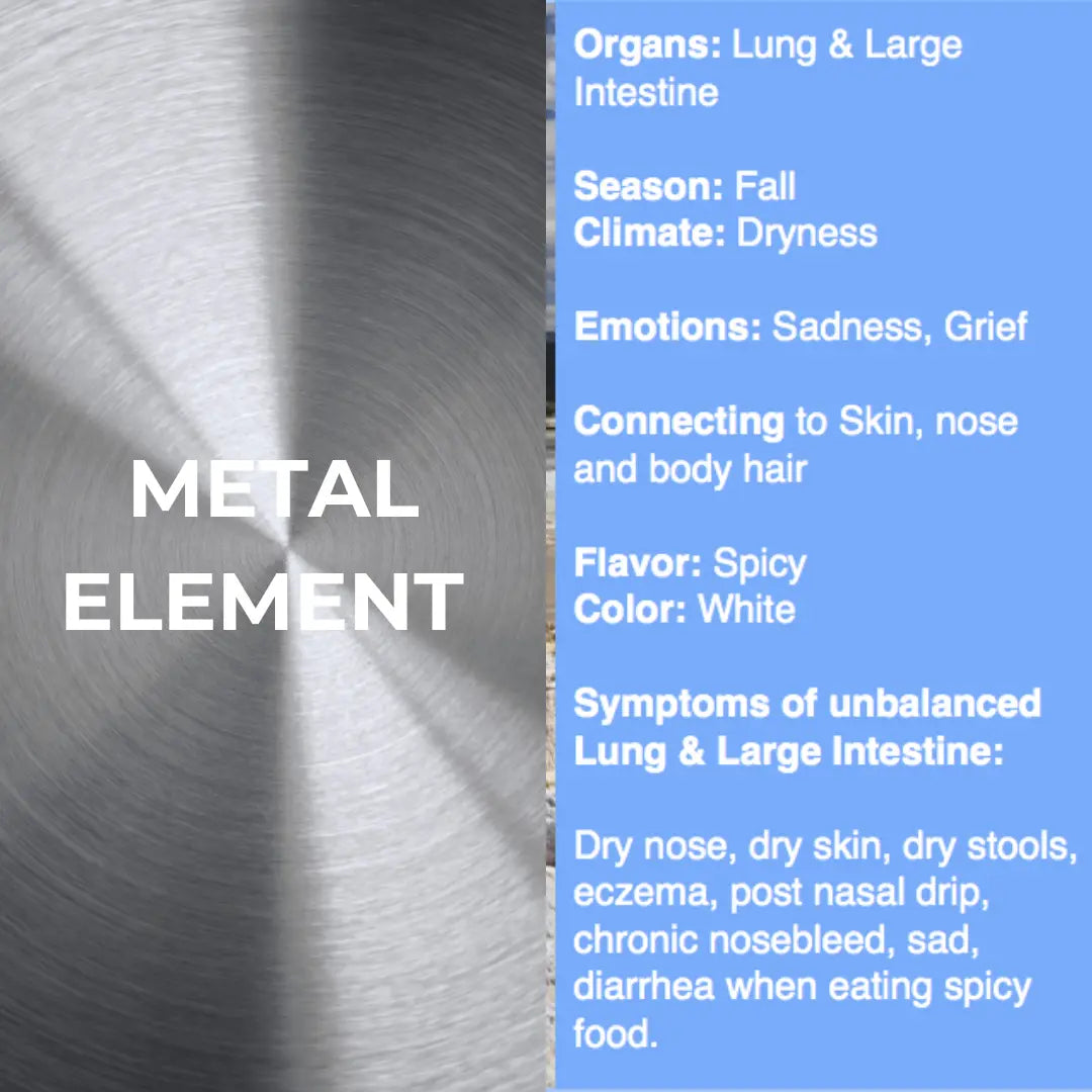 Metal Element TCM Elixir | Organic Tincture | Respiratory and Digestive Harmony Bodhi Mama Botanicals