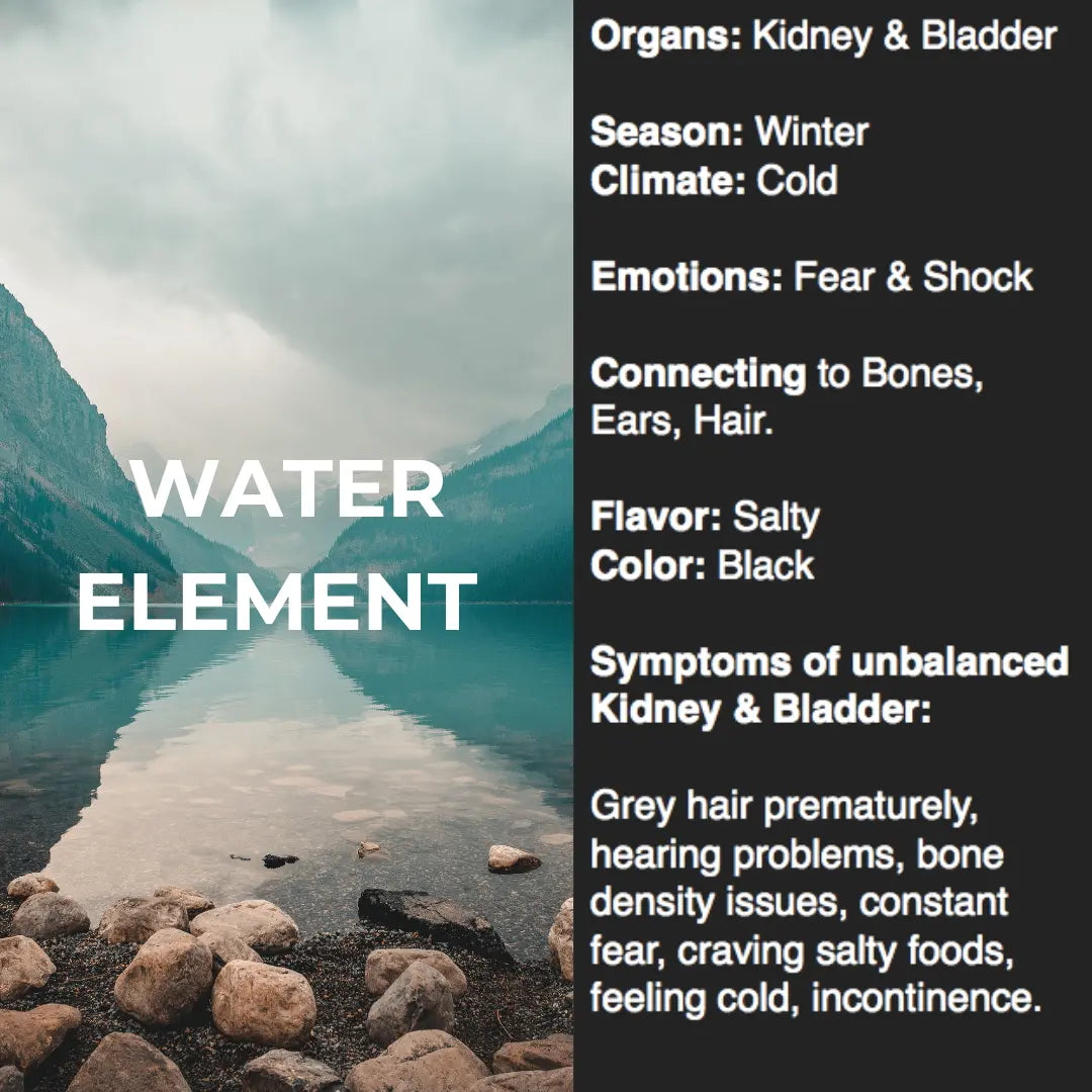 Water Element Elixir Bodhi Mama Botanicals