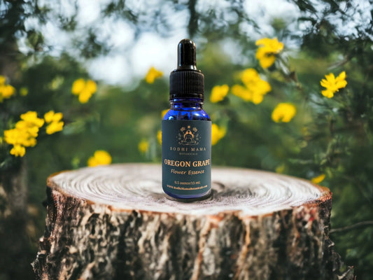 Oregon Grape Flower Essence || Confidence & Trust Bodhi Mama Botanicals
