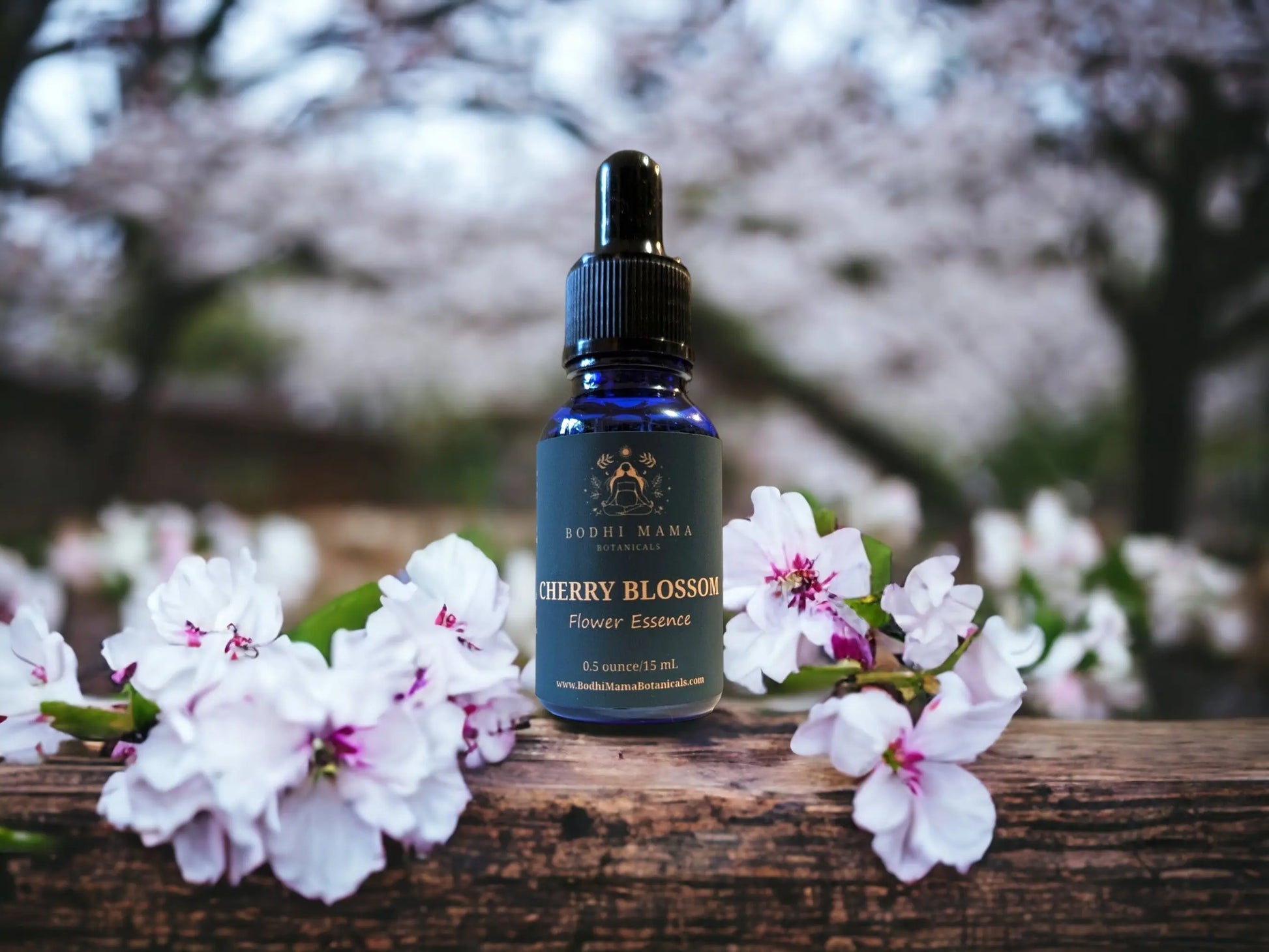 Cherry Blossom Flower Essence || Hope & New Beginnings Bodhi Mama Botanicals