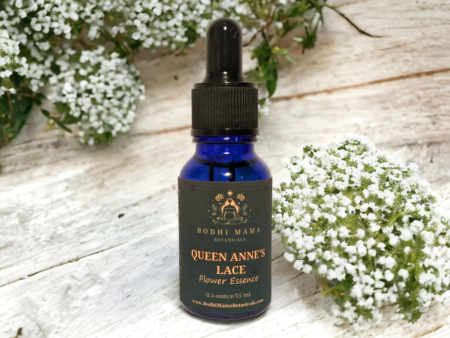 Queen Anne's Lace Flower Essence || Harmony & Clarity Bodhi Mama Botanicals