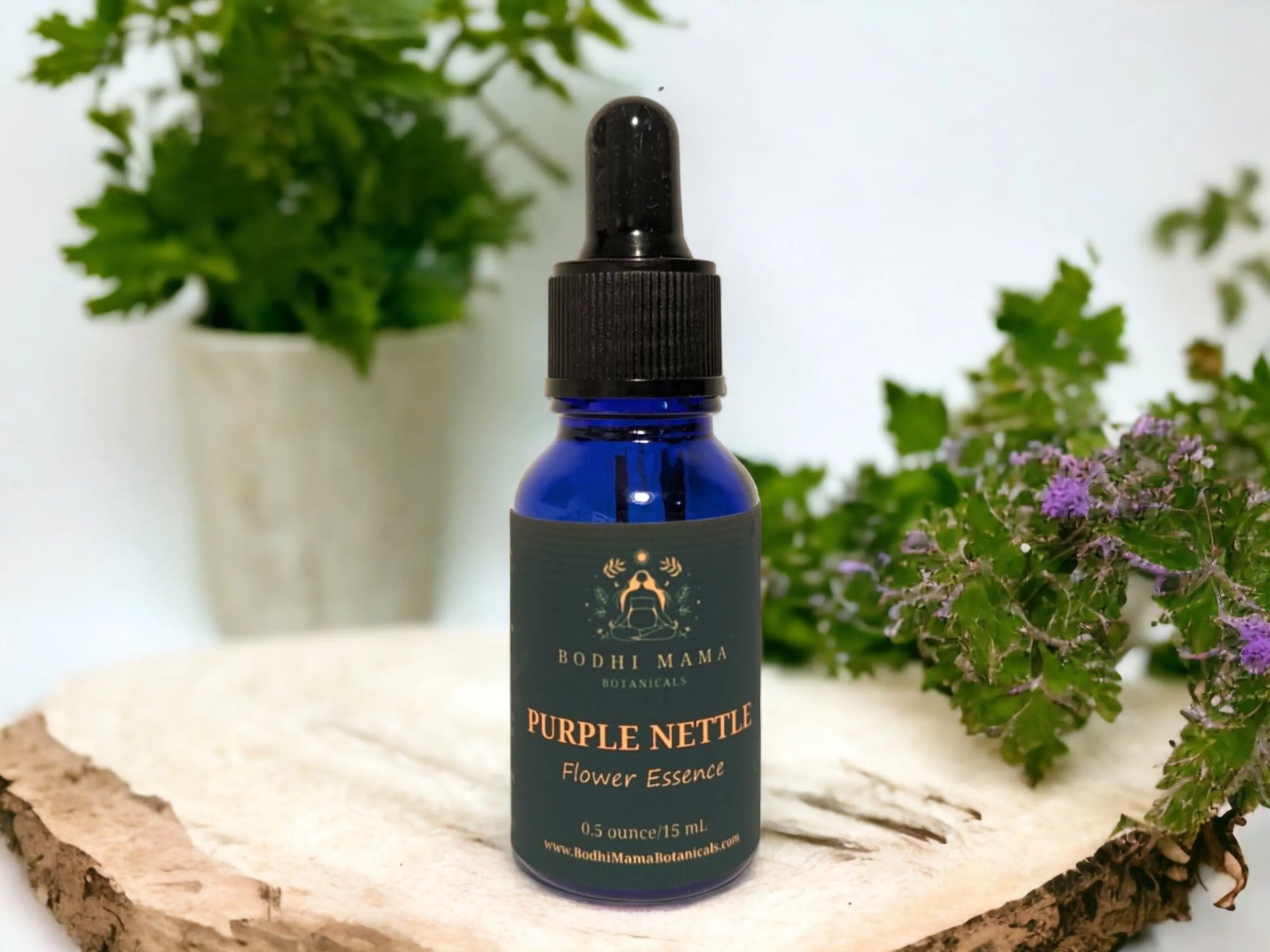 Purple Nettle Flower Essence || Sacral Chakra & Creative Expression Bodhi Mama Botanicals