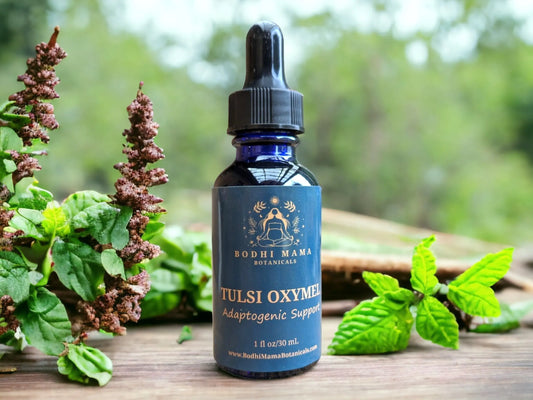 Tulsi Oxymel Bodhi Mama Botanicals