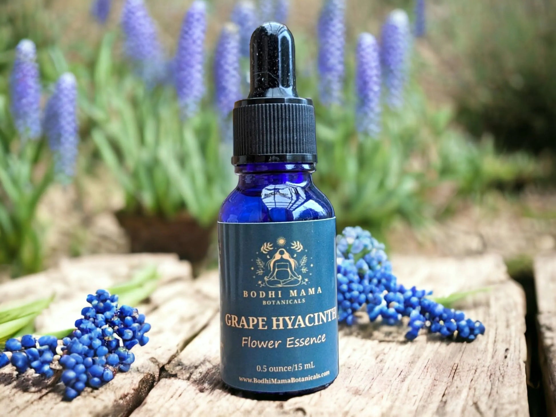 Grape Hyacinth Flower Essence || Throat Chakra & Personal Truth Bodhi Mama Botanicals