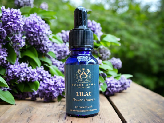 Lilac Flower Essence || Joy & Co-creation Bodhi Mama Botanicals