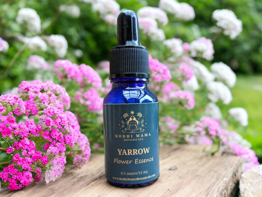 Yarrow Flower Essence || Cleanse & Protect Bodhi Mama Botanicals