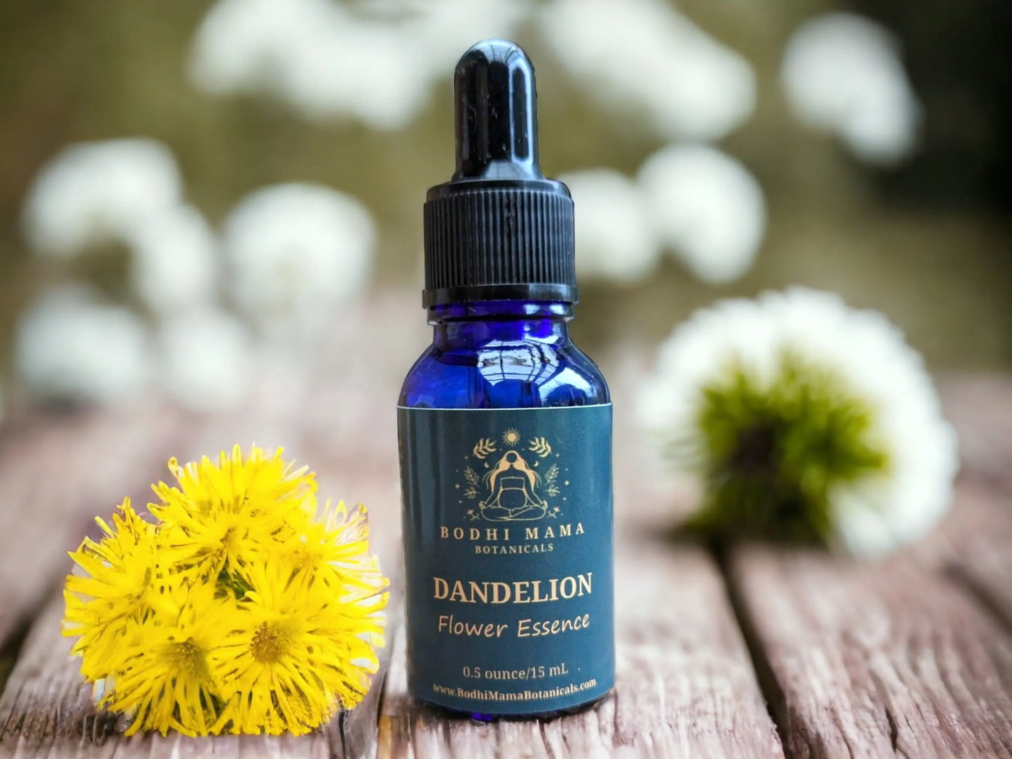 Dandelion Flower Essence || Solar Plexus Chakra & Authenticity Bodhi Mama Botanicals