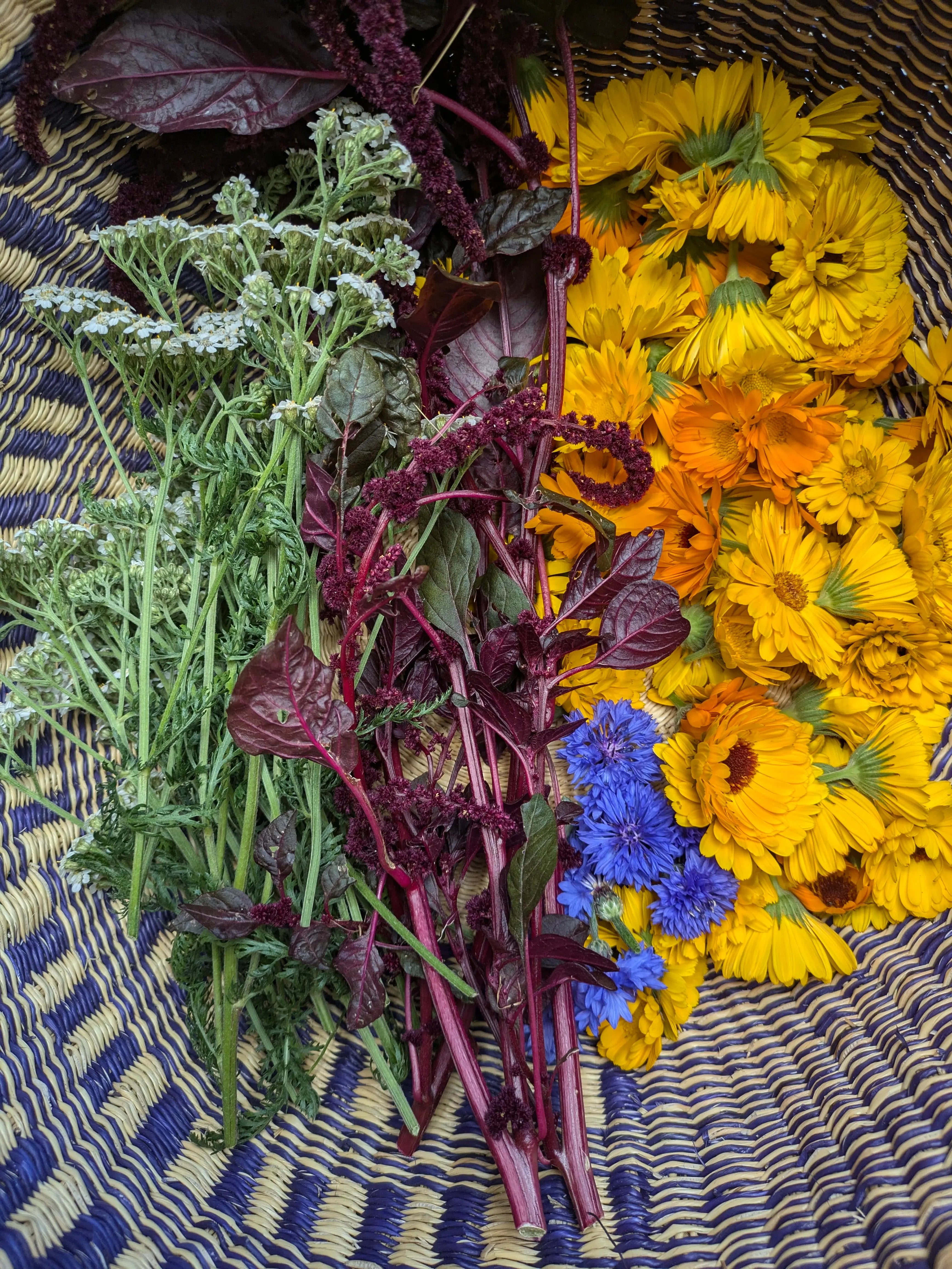 Floral Face Serum || Organic Skin Care || Botanical Beauty || 2 fluid ounces Bodhi Mama Botanicals