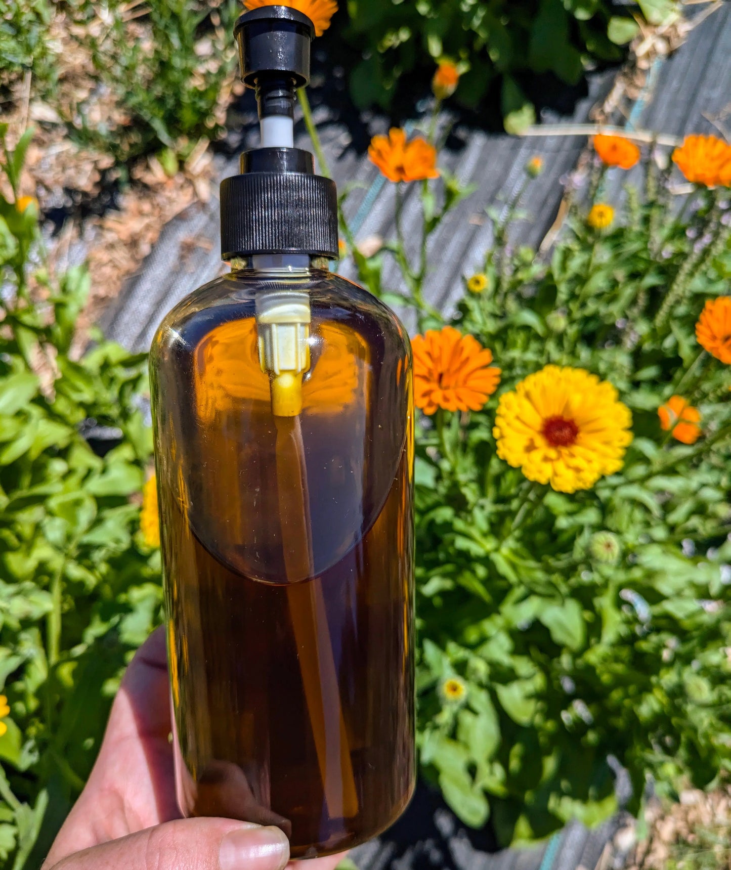 Calendula Salve || 2 oz Bodhi Mama Botanicals