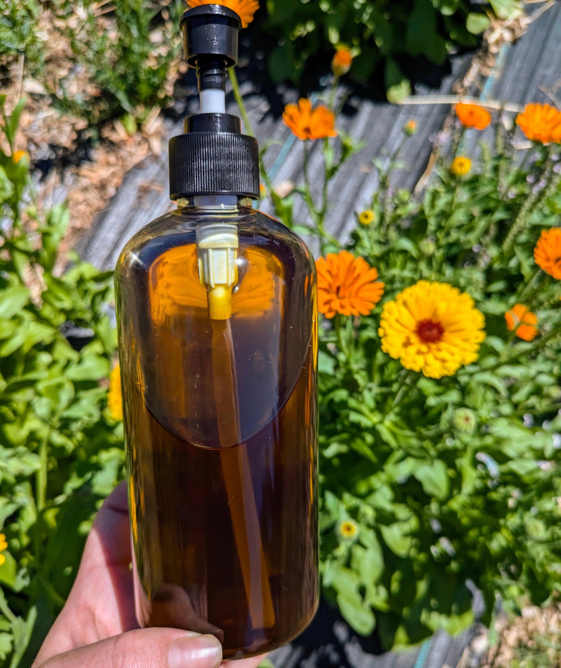 Calendula Salve || 2 oz Bodhi Mama Botanicals