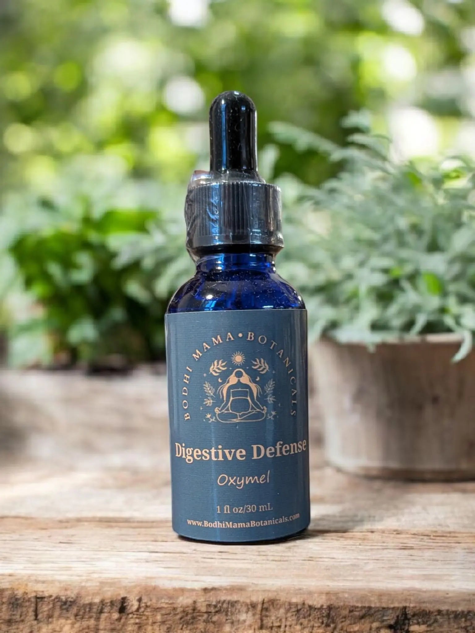 Digestive Defense Oxymel || Digestive Support || 1 fluid ounce Bodhi Mama Botanicals