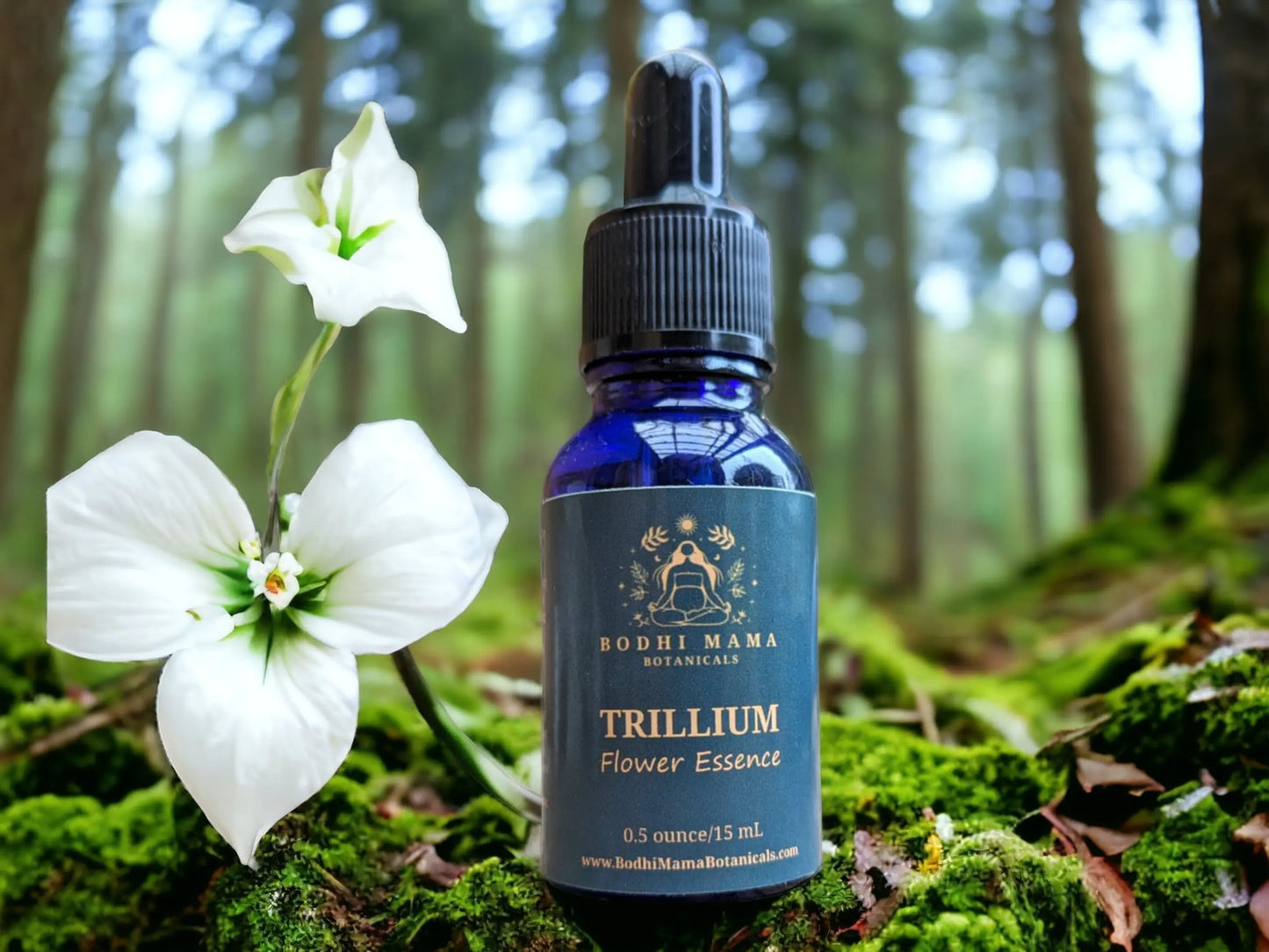 Trillium Flower Essence || Crown Chakra & Unity Bodhi Mama Botanicals