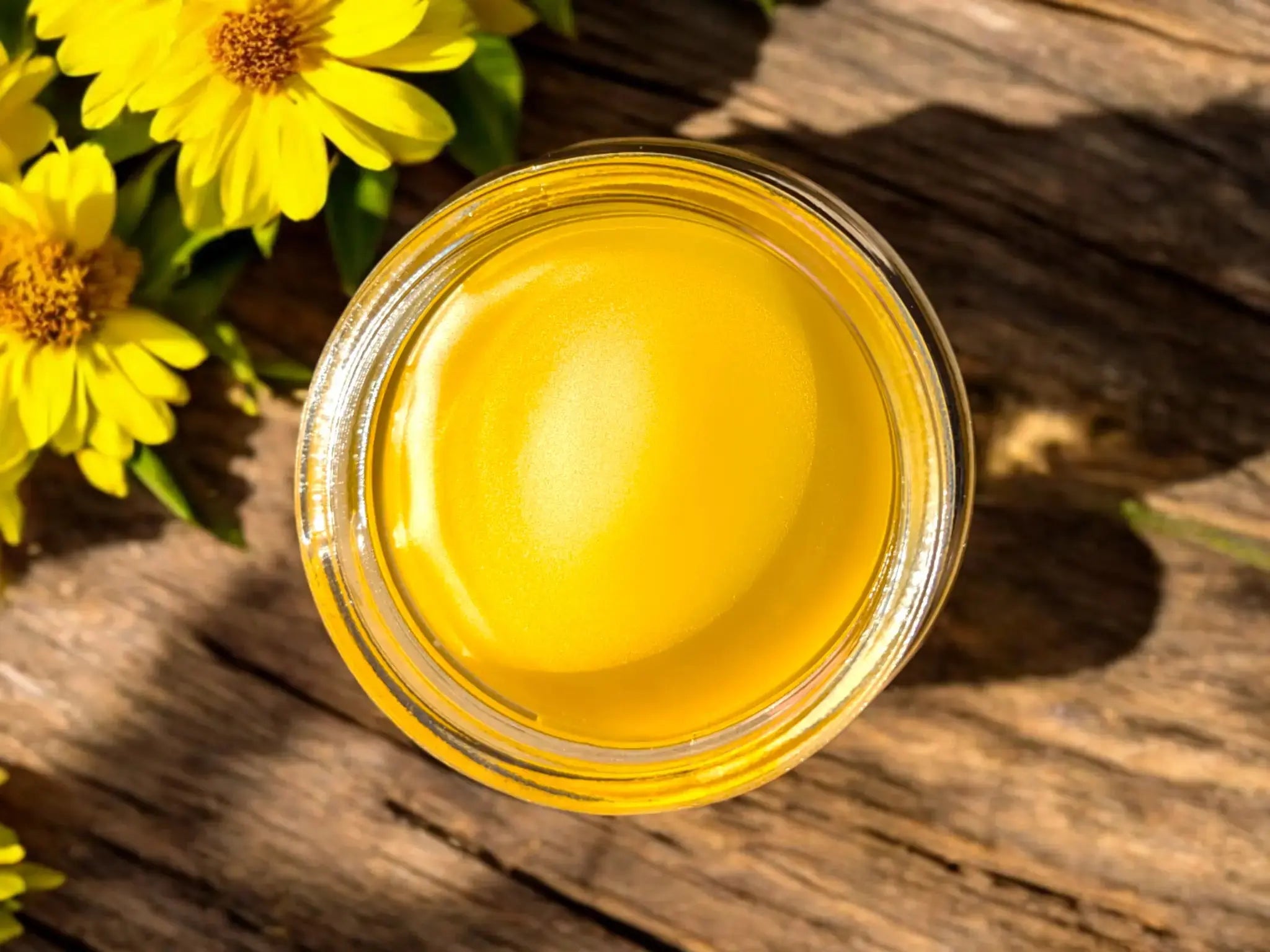 Herbal Salve Trio Set - First Aid, Skin Repair, Muscle Rub || Organic Skin Care || Gift Set Bodhi Mama Botanicals