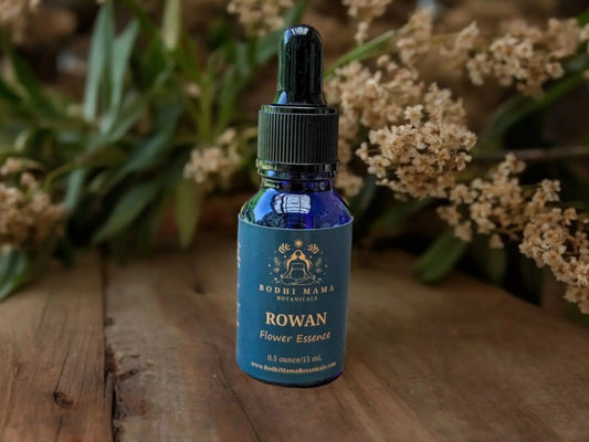 Autumn Herbal Wellness Package Bodhi Mama Botanicals