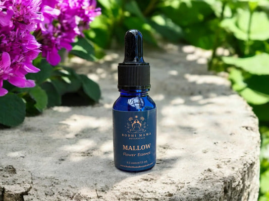 Mallow Flower Essence || Social Anxiety Bodhi Mama Botanicals