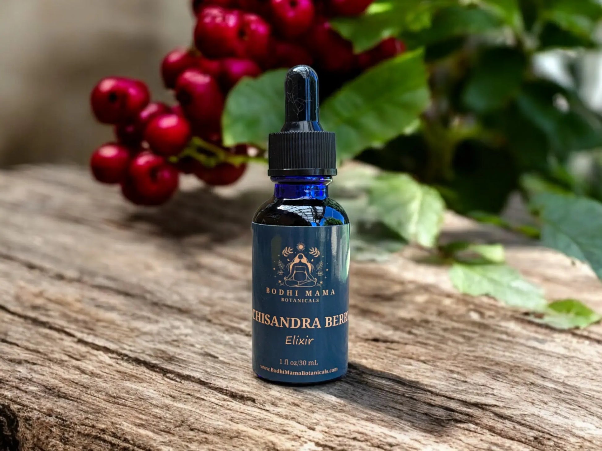 Schisandra Berry Elixir || Adaptogen + Women's Health || Organic Tincture Bodhi Mama Botanicals