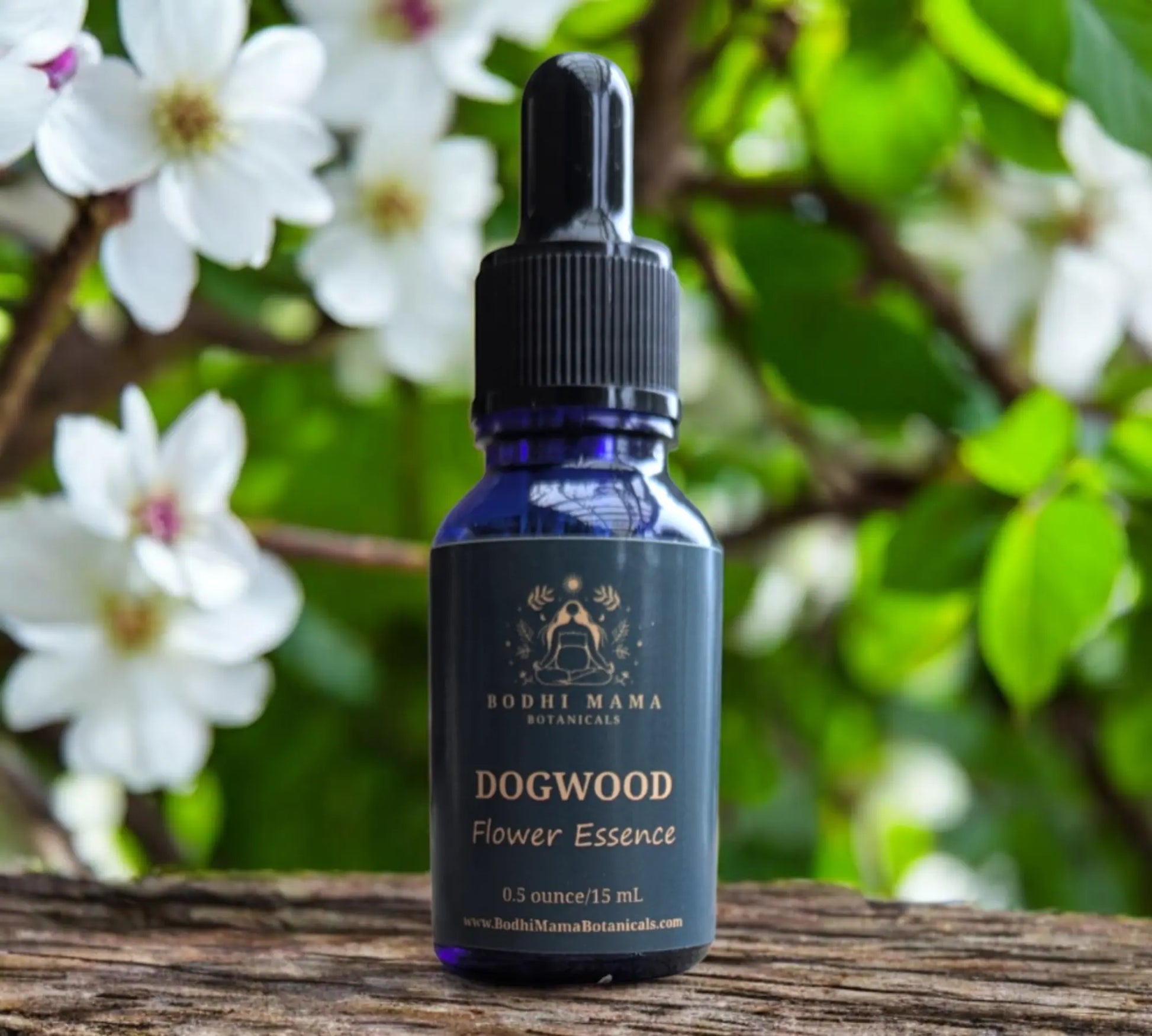 Winter Herbal Wellness Package Bodhi Mama Botanicals