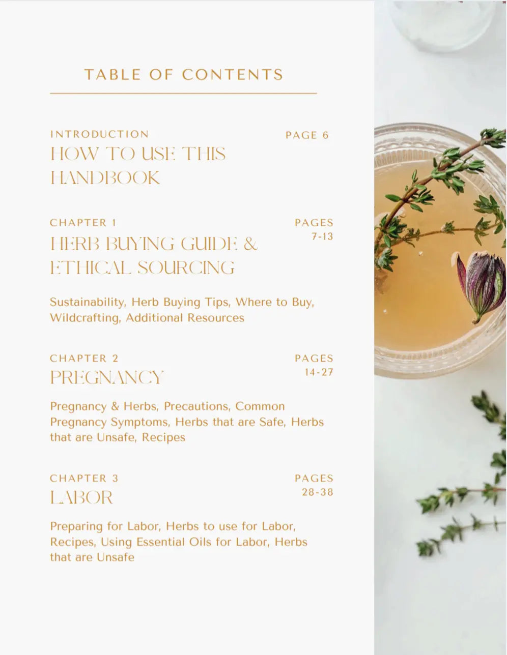 Herbalism Handbook for Doulas Bodhi Mama Botanicals