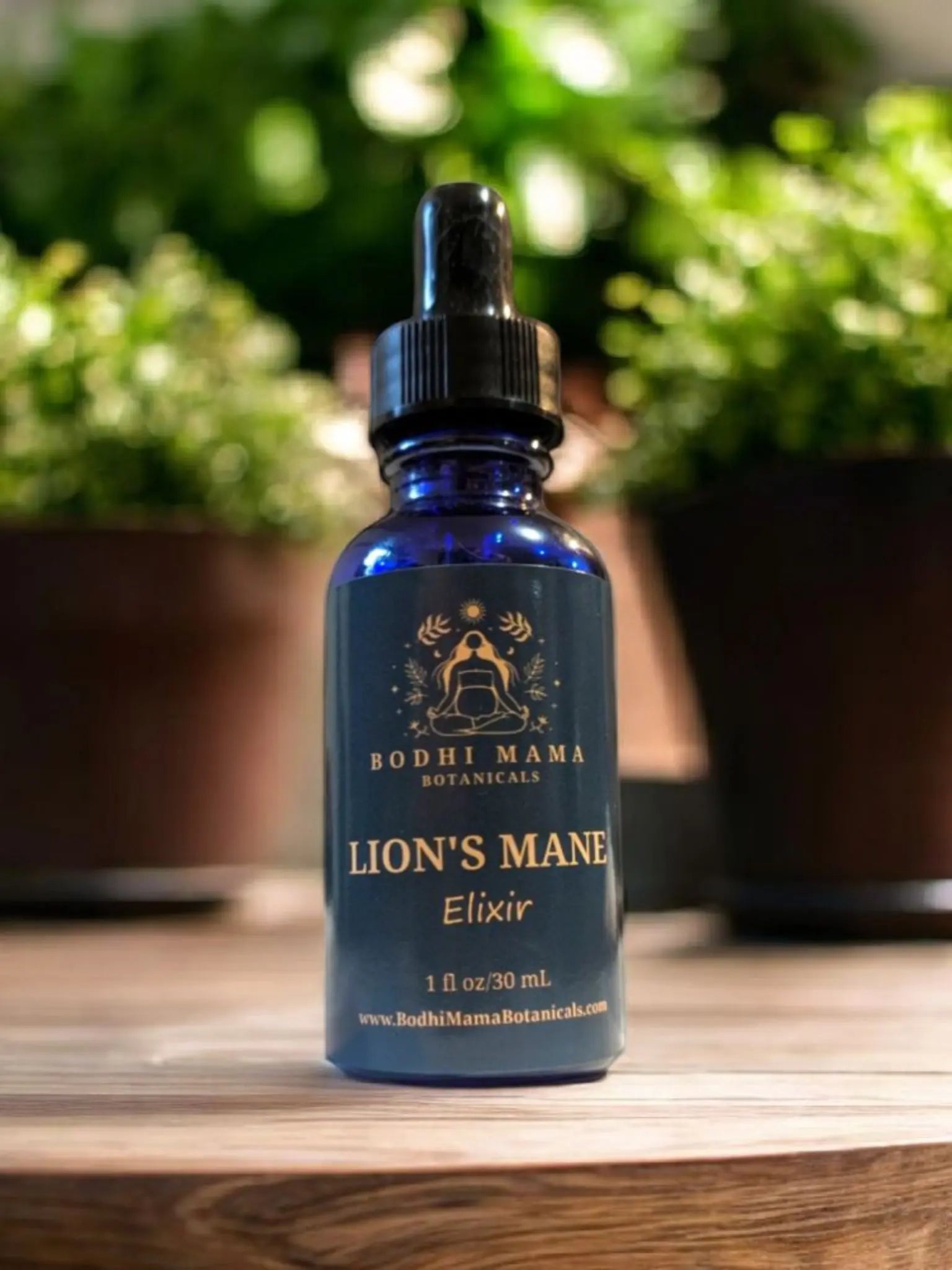 Wild Lions Mane Elixir || Brain & Nerve Support Bodhi Mama Botanicals