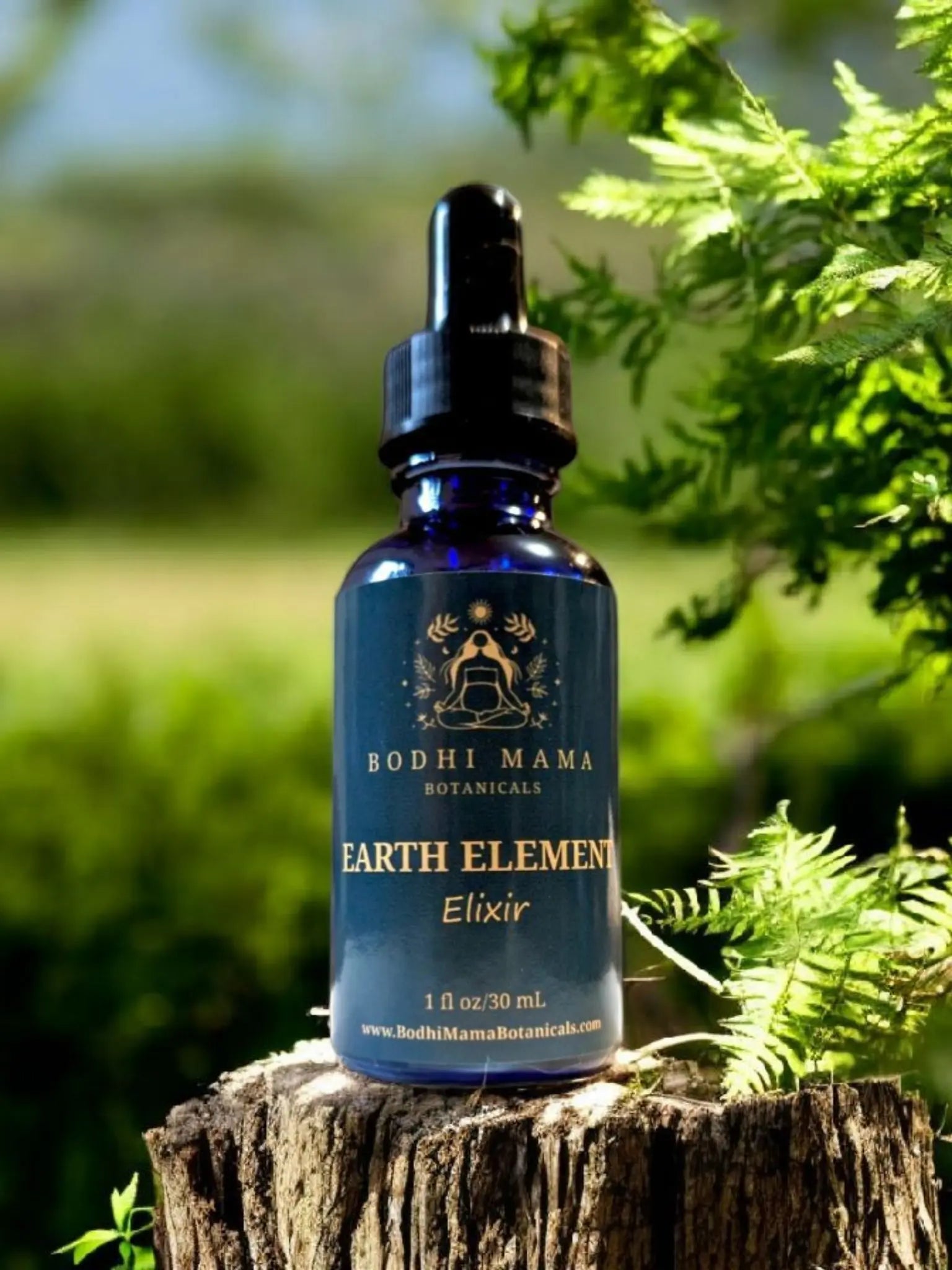 Earth Element TCM Elixir | Organic Tincture || Rooted Wellness Blend Bodhi Mama Botanicals