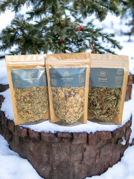 Tea Lovers Gift Set - A Trio of Exquisite Blends for Every Palate || Organic Loose Leaf Herbal Tea Bodhi Mama Botanicals