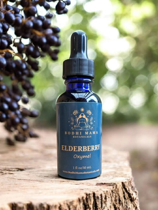 Elderberry Oxymel Bodhi Mama Botanicals