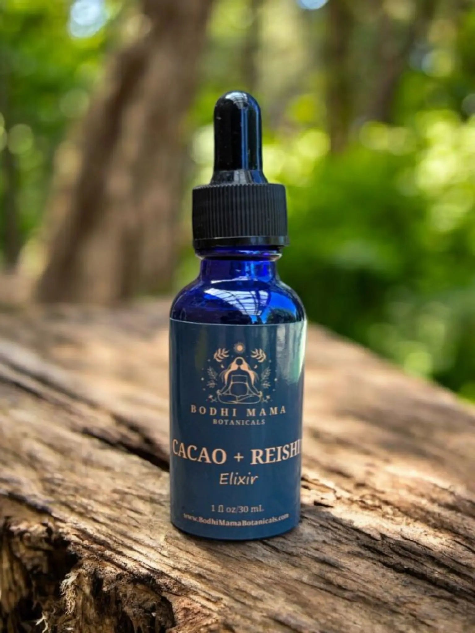 Cacao + Reishi Elixir || Mineral Rich + Adaptogen || Organic Tincture Bodhi Mama Botanicals